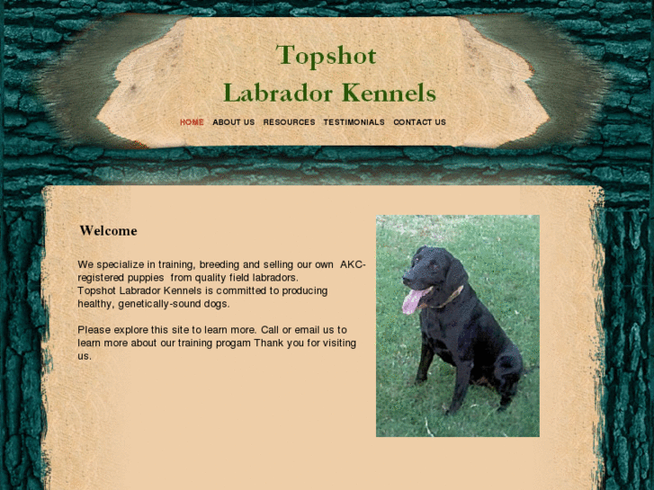 www.topshotlabradors.com