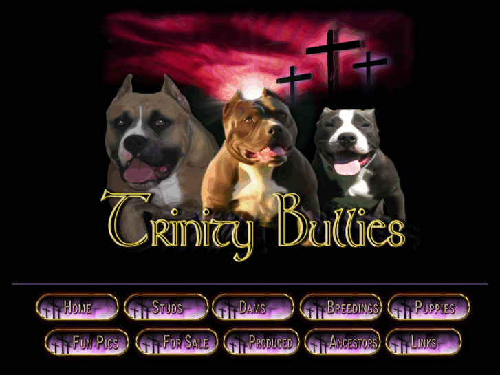 www.trinitybullies.com