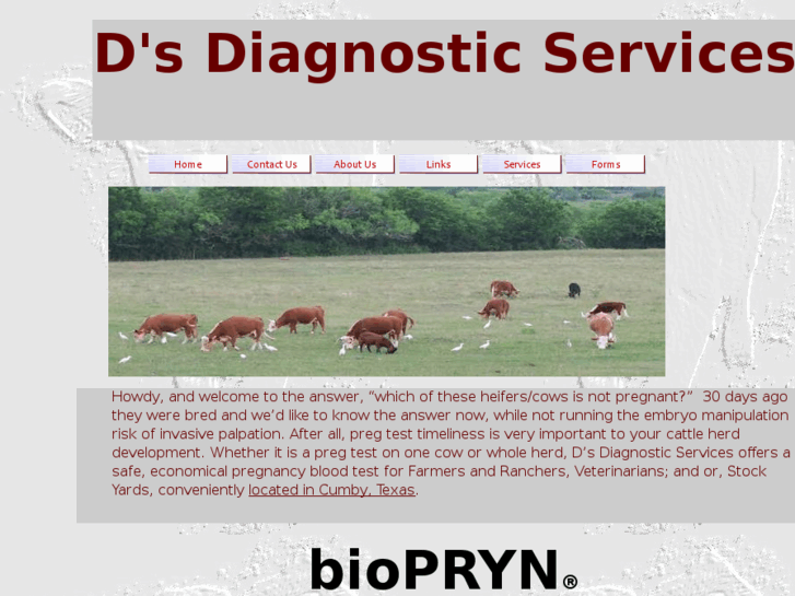 www.ddiagnosticservices.com