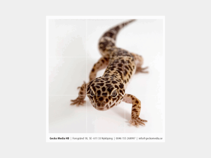 www.geckomedia.se