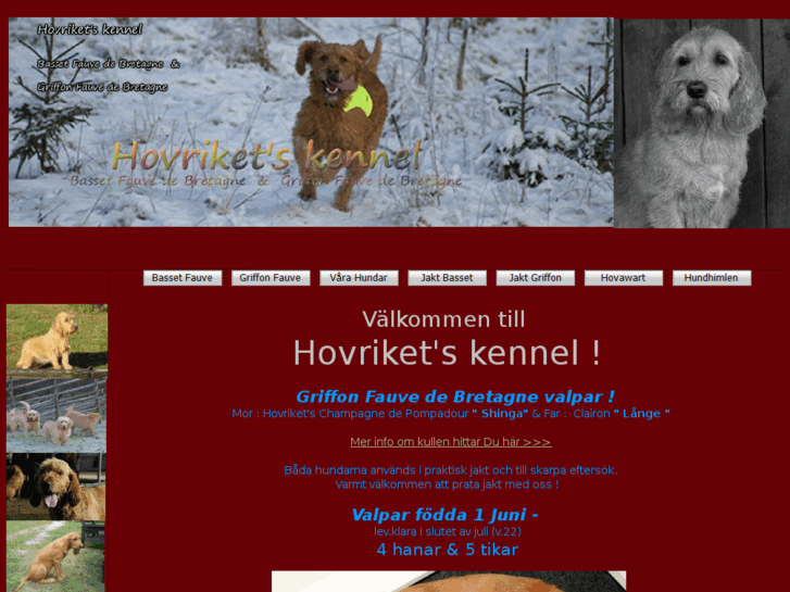 www.hovrikets.com