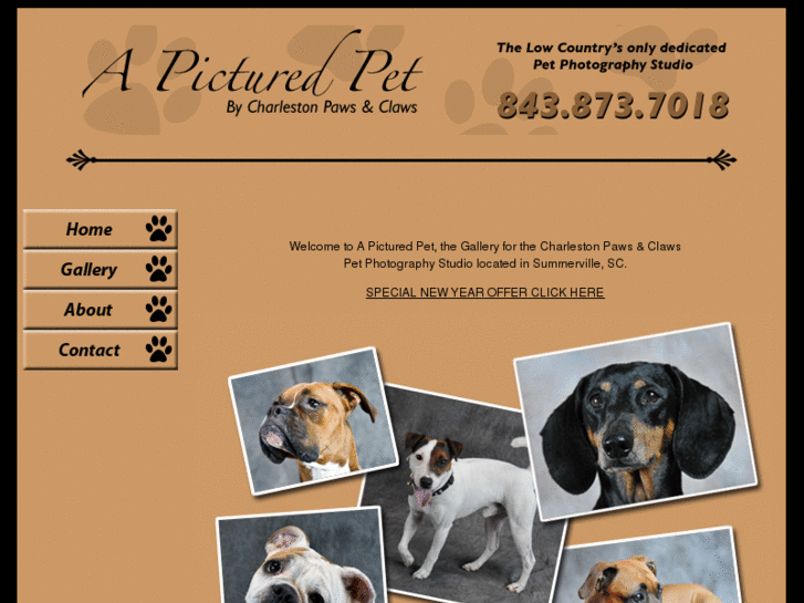 www.pawtography.net