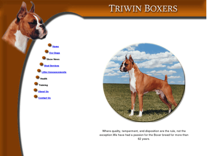 www.triwinboxers.com