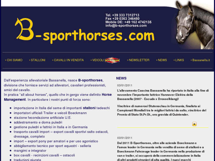 www.b-sporthorses.com