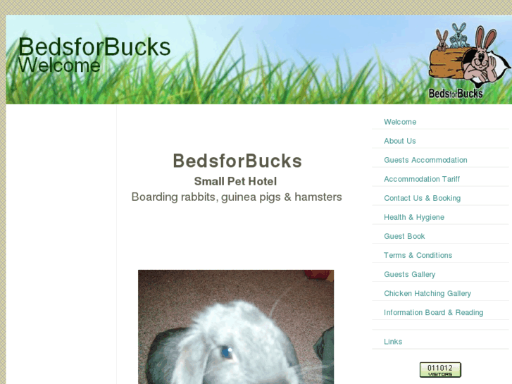 www.bedsforbucks.com