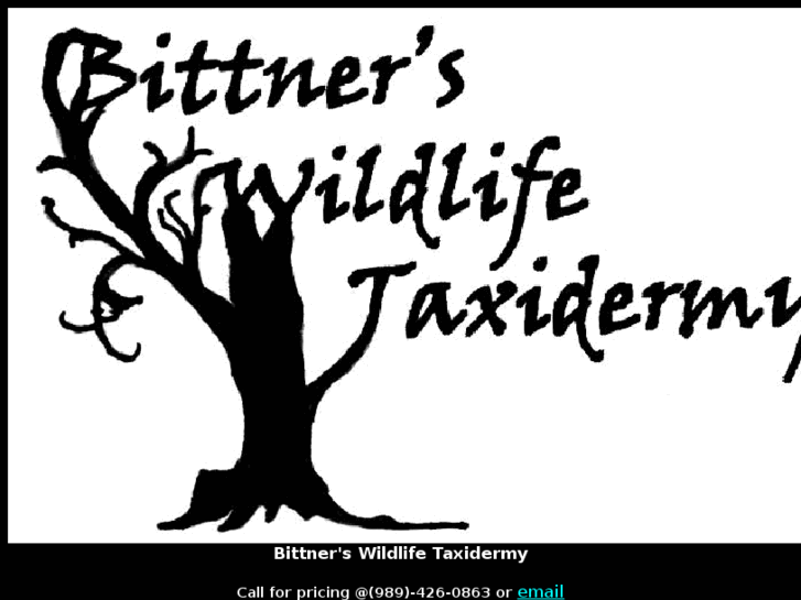 www.bittnerwild.com