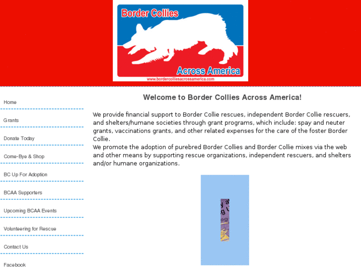 www.bordercolliesacrossamerica.com