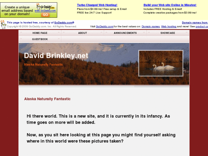 www.davidbrinkley.net