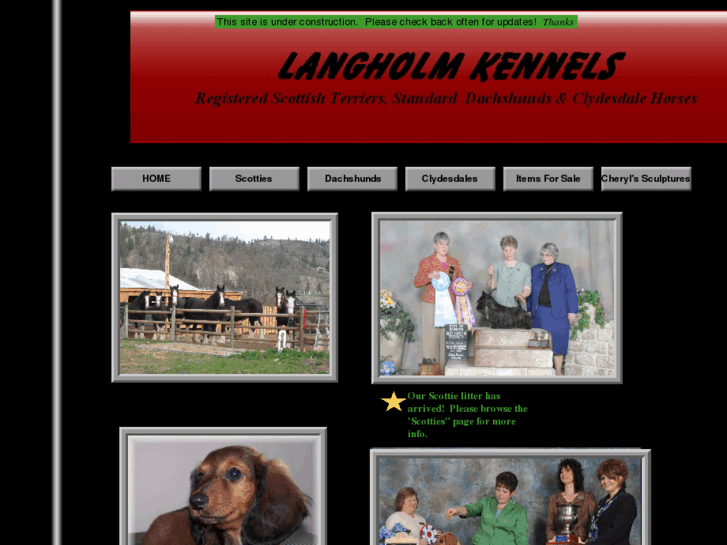 www.langholmscotties.com