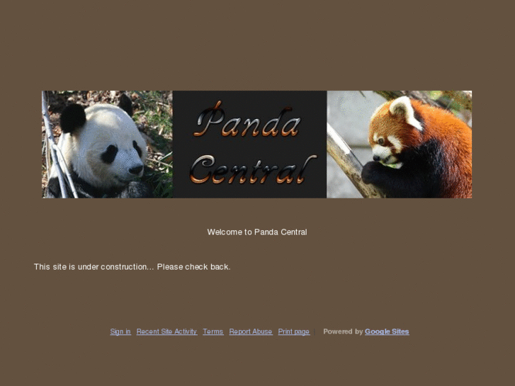 www.pandacentral.info
