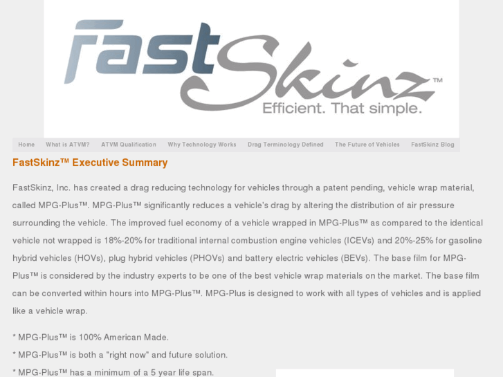 www.fastskinz.com