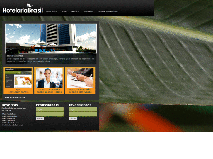 www.hotelariabrasil.com.br