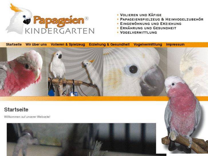 www.kakadu-kindergarten.com