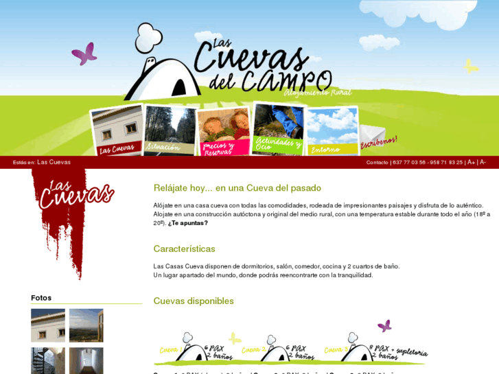 www.lascuevasdelcampo.com