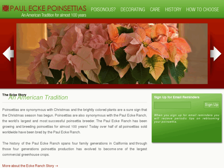 www.pauleckepoinsettias.com