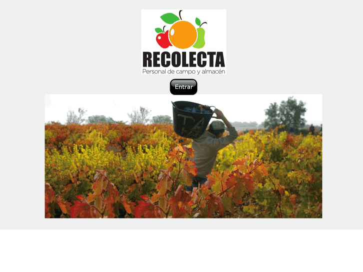 www.recolecta.com