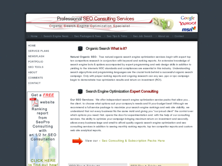 www.seoproconsulting.net