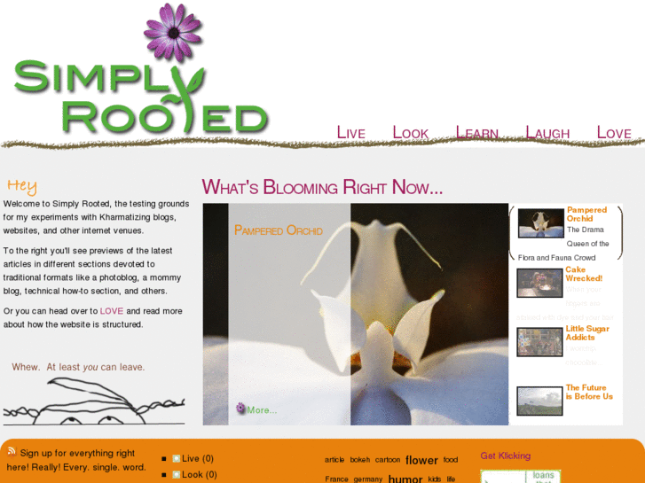 www.simplyrooted.com