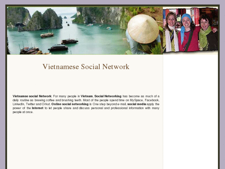 www.vietnamesesocial.com