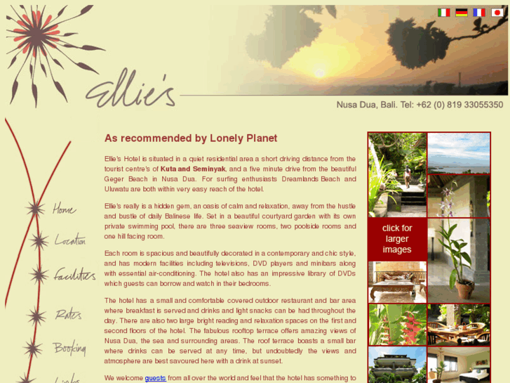 www.ellies-bali.com