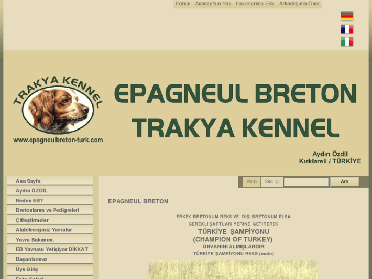 www.epagneulbreton-turk.com