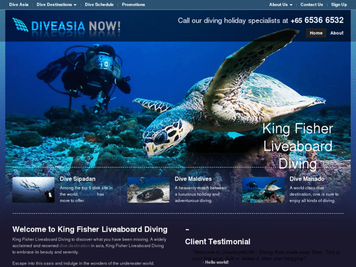 www.kingfisherdiving.com