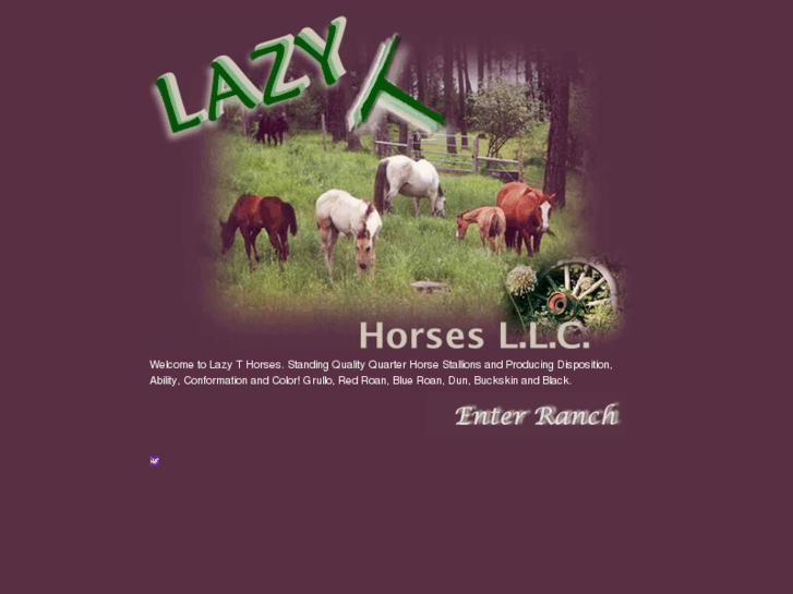 www.lazythorses.com