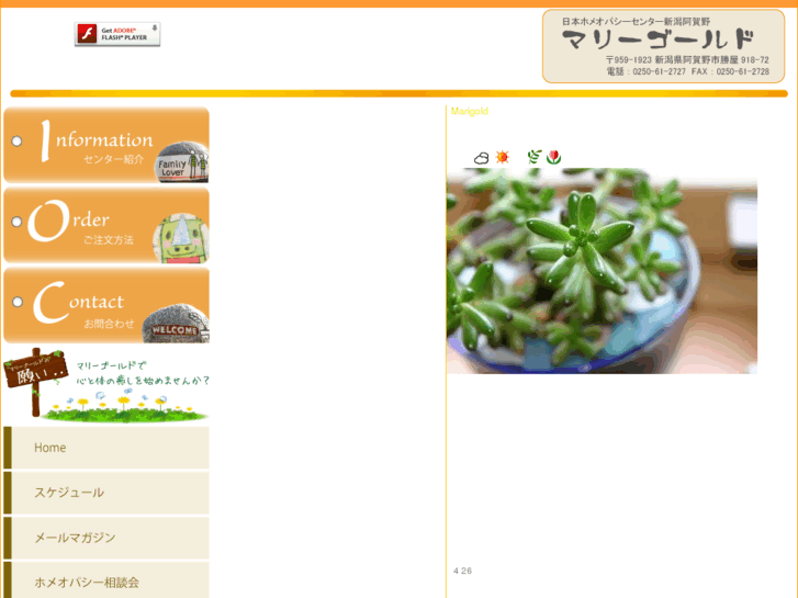 www.marigold-doumo-arigatou.jp