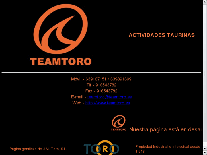 www.teamtoro.es