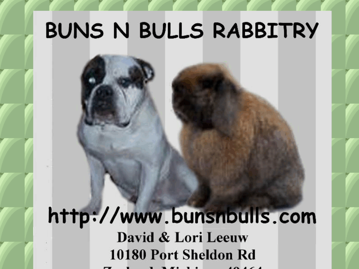 www.bunsnbulls.com