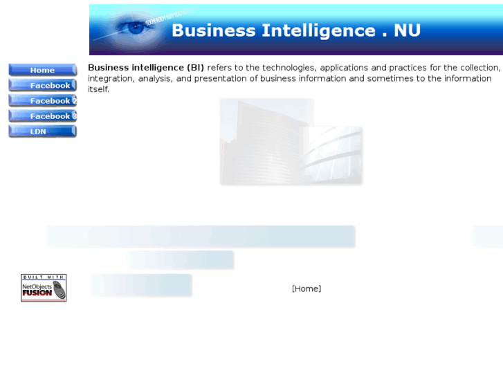 www.business-intelligence-now.com