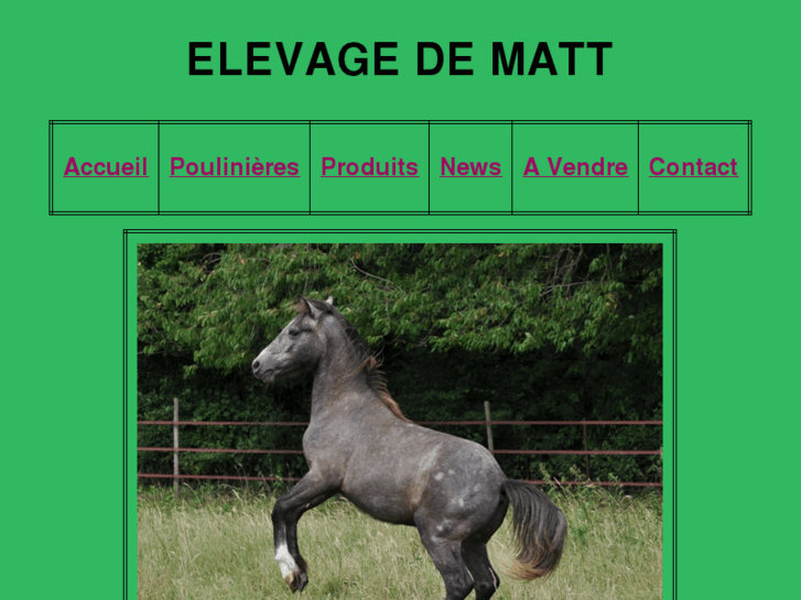 www.elevagedematt.com