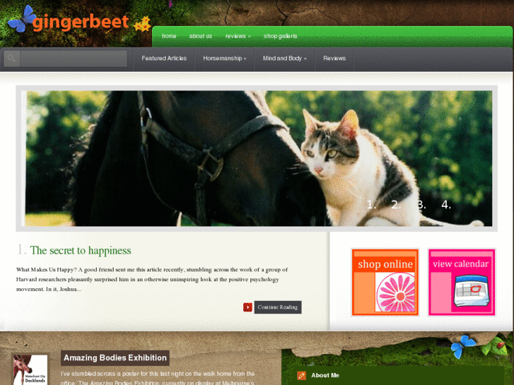 www.gingerbeet.com