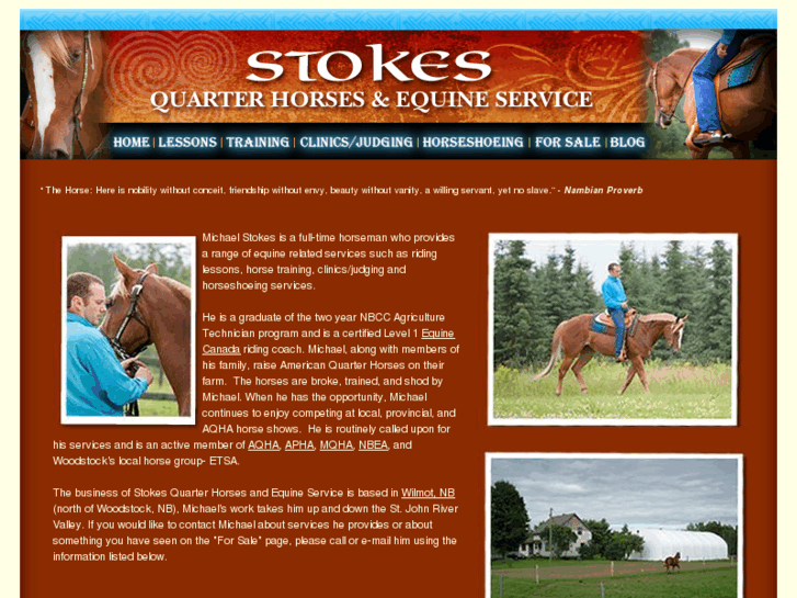 www.stokesquarterhorses.com