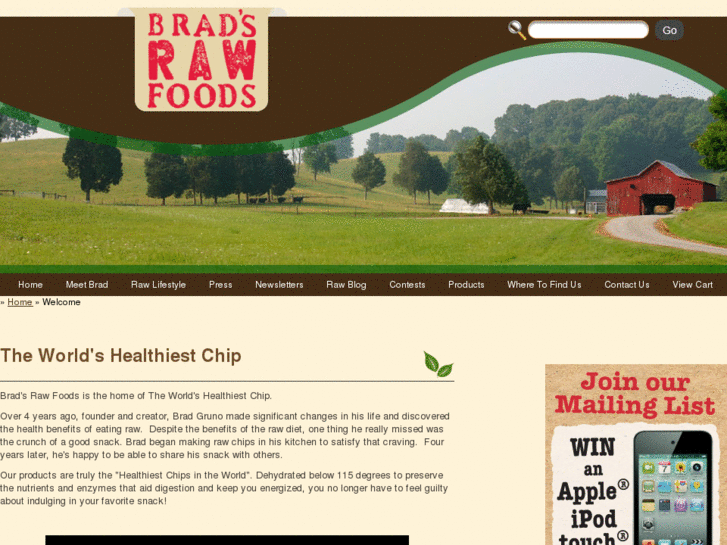 www.bradsrawchips.com