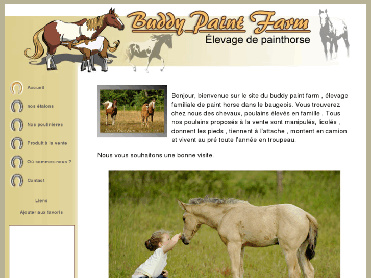 www.buddypaintfarm.com