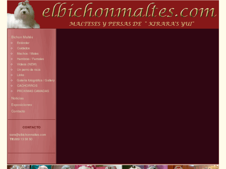 www.elbichonmaltes.com