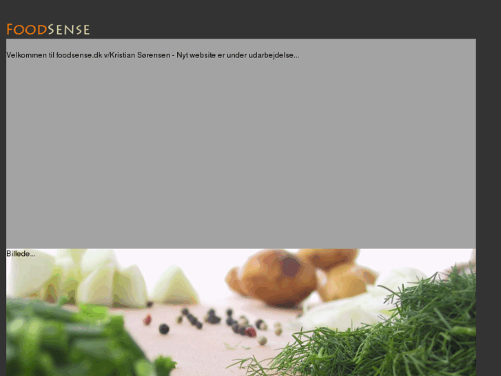 www.foodsense.dk