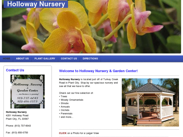 www.hollowaynursery.net