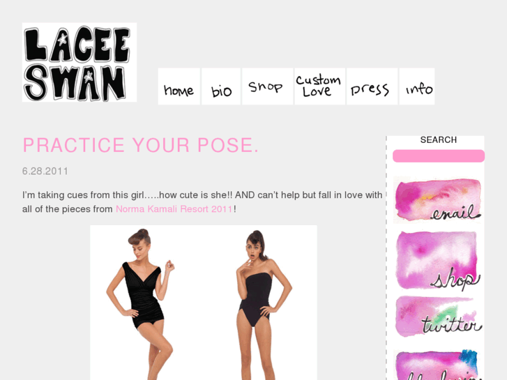 www.laceeswan.com