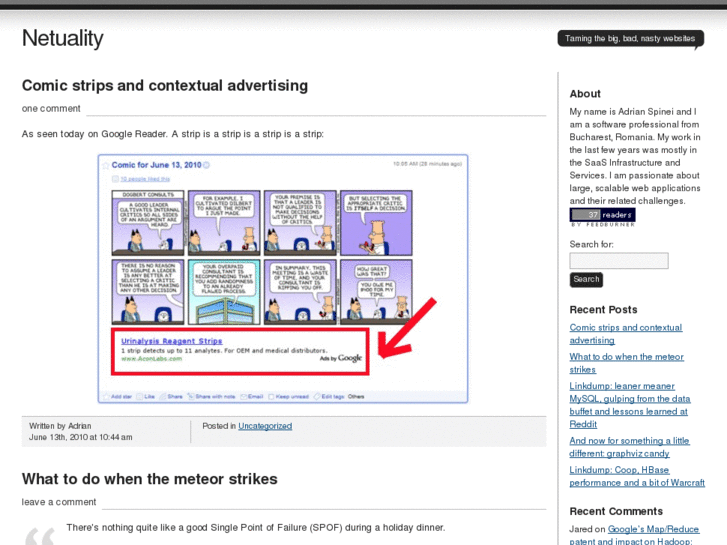 www.netuality.ro