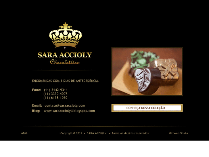 www.saraaccioly.com