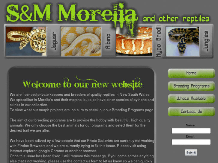 www.snm-morelia.com