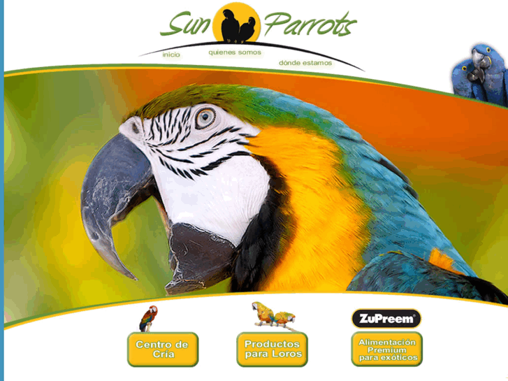 www.sunparrots.com