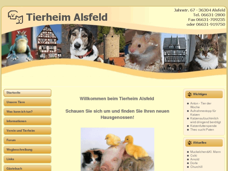 www.tierheim-alsfeld.de