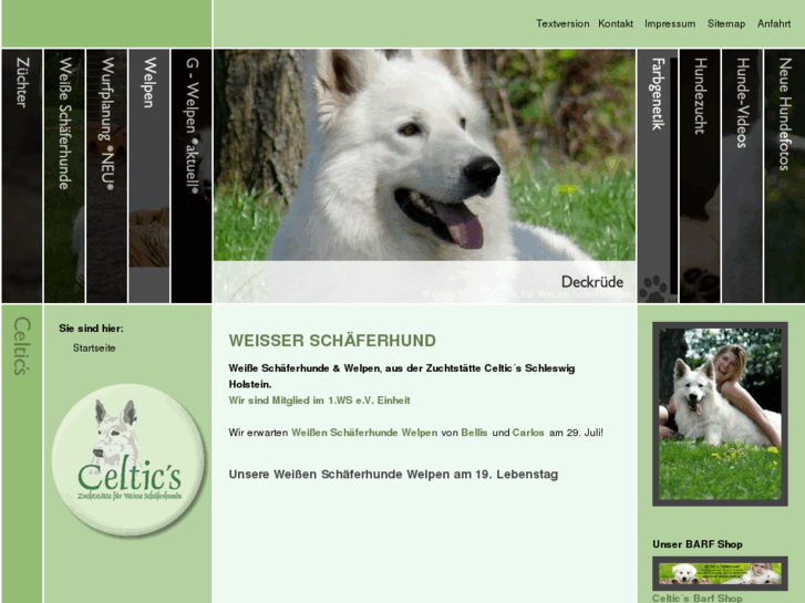www.welpen-weisseschaeferhunde.de