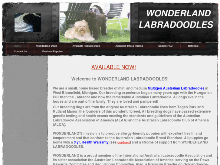 www.wonderlandlabradoodles.com