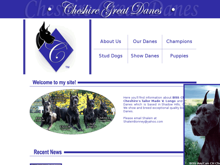 www.cheshiregreatdanes.com