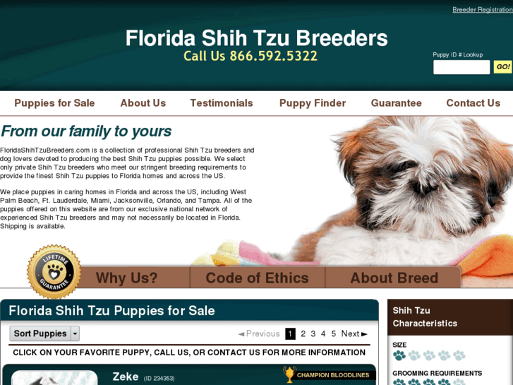 www.floridashihtzubreeders.com