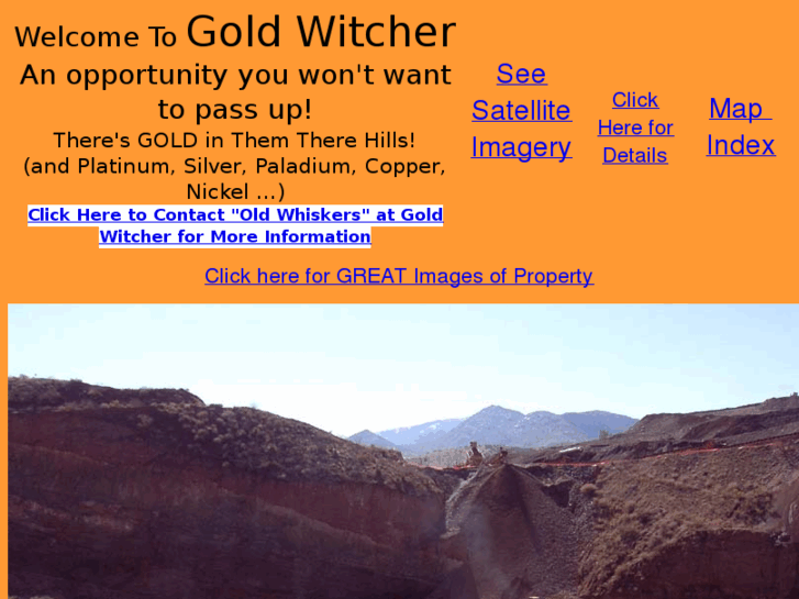 www.goldwitcher.com